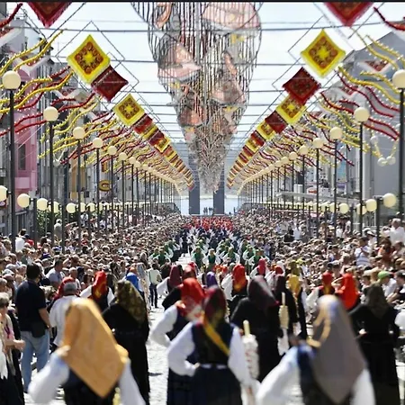 Casa Da Amorosa Appartement